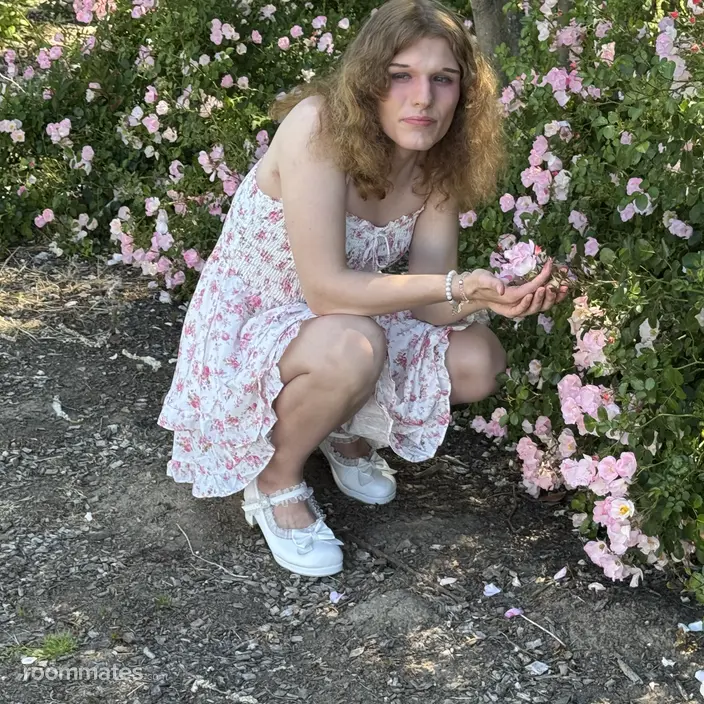 Roommate looking Corvallis, OR, $800