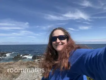 Roommate looking Boston, MA, $1300