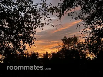 Room for rent in Bellingham, WA $840, apartment