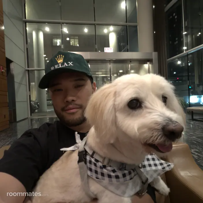 Roommate looking Irvine, CA, $2000