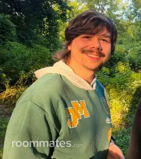 Roommate looking Van Buren, AR, $700