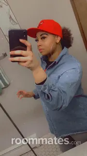 Roommate looking Joliet, IL, $800