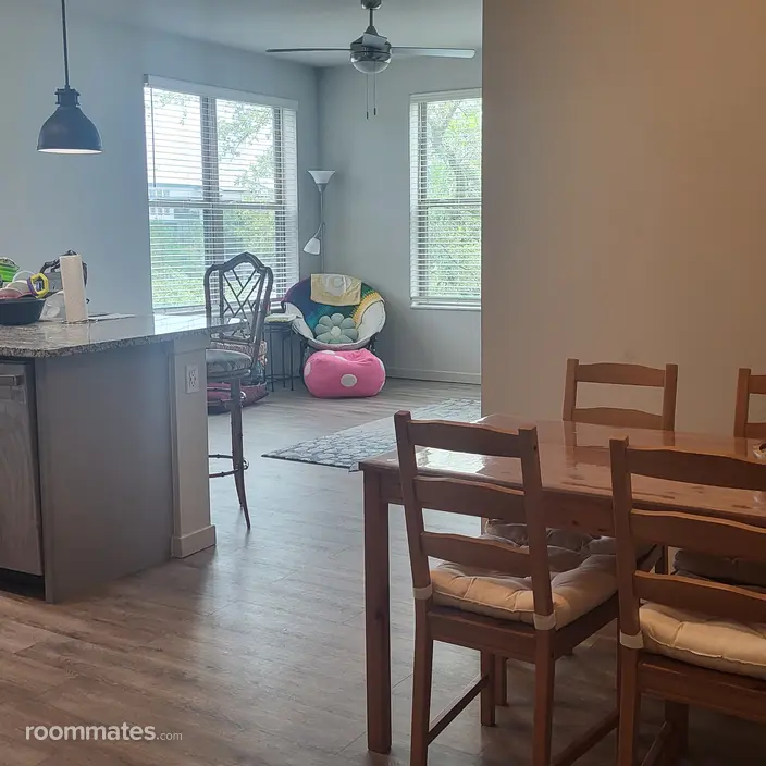 Room for rent in Tampa, FL $1150, apartment