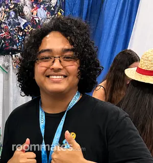 Roommate looking Chantilly, VA, $1200