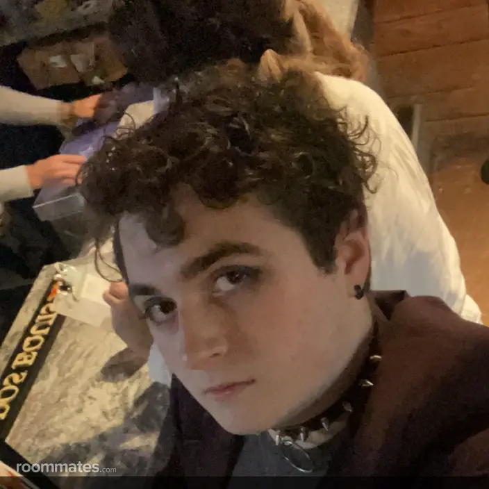 Roommate looking Plattsburgh, NY, $1200