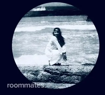 Roommate looking West Bloomfield Township, MI, $500