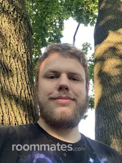 Roommate looking Akron, OH, $900