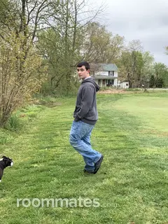 Roommate looking Winchester, VA, $800
