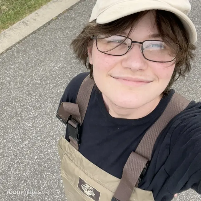 Roommate looking Conway, AR, $700