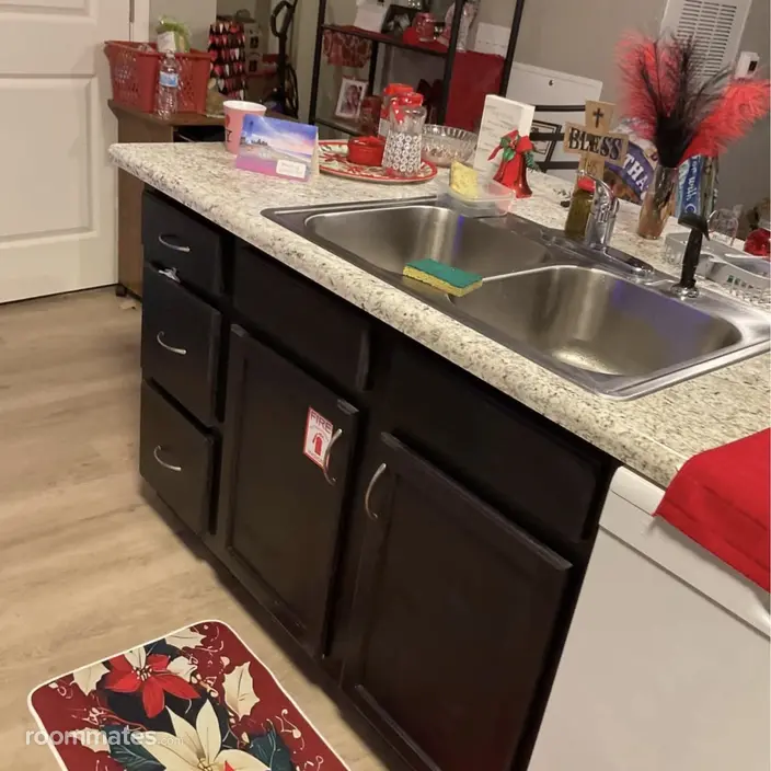 Room for rent in Columbia, SC $650, apartment