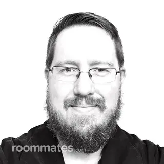 Roommate looking Hazel Park, MI, $400