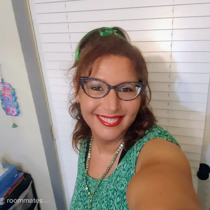 Roommate looking Sharon, PA, $600