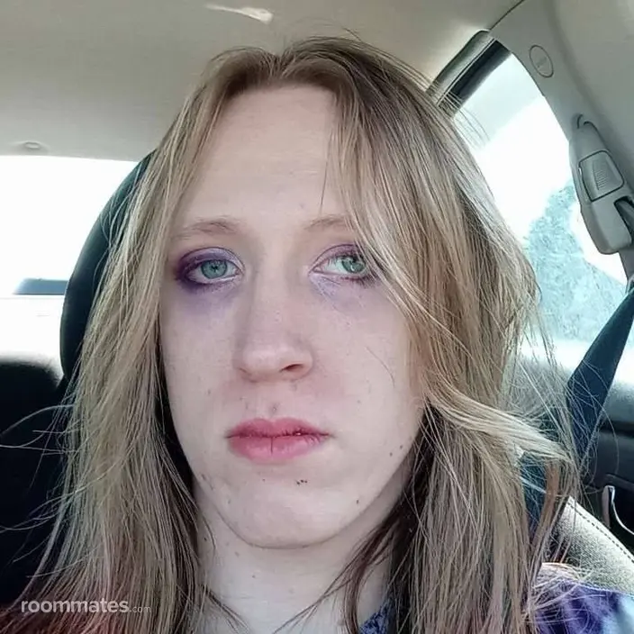 Roommate looking Lansing, MI, $600