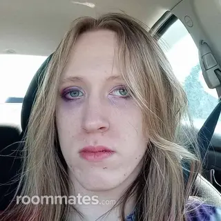 Roommate looking Lansing, MI, $600
