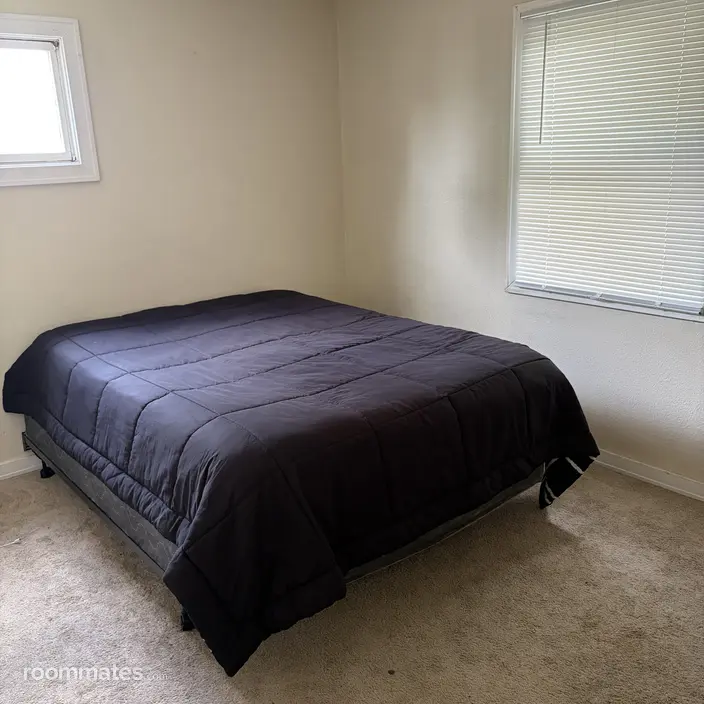 Room for rent in Minneapolis, MN $700, house