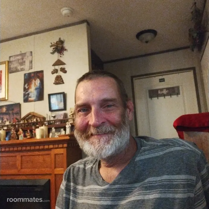 Roommate looking De Soto, IL, $300