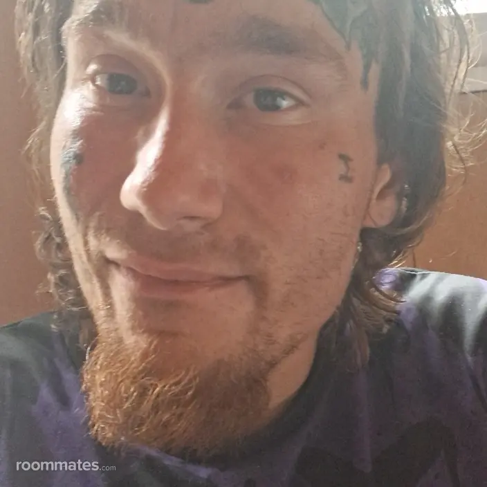 Roommate looking Indianapolis, IN, $500
