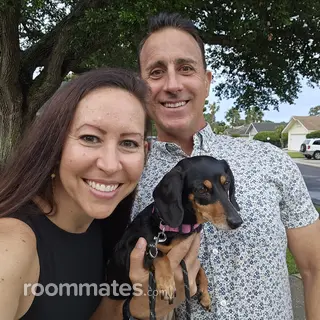 Roommate looking Saint Augustine, FL, $900