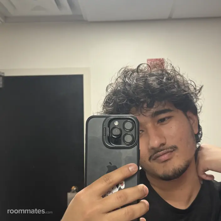 Roommate looking Sunnyvale, CA, $1200