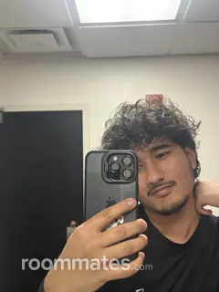 Roommate looking Sunnyvale, CA, $1200