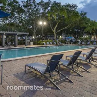 Room for rent in Palm Harbor, FL $950, apartment