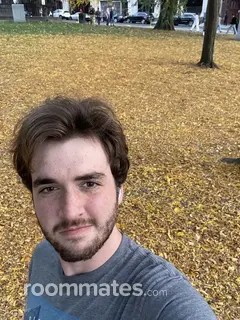 Roommate looking Los Angeles, CA, $2000