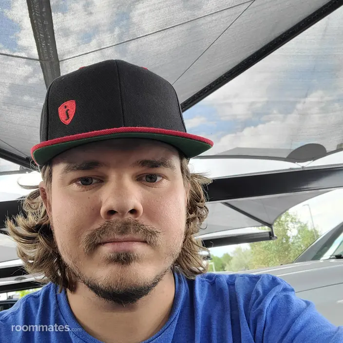 Roommate looking Castle Rock, CO, $600