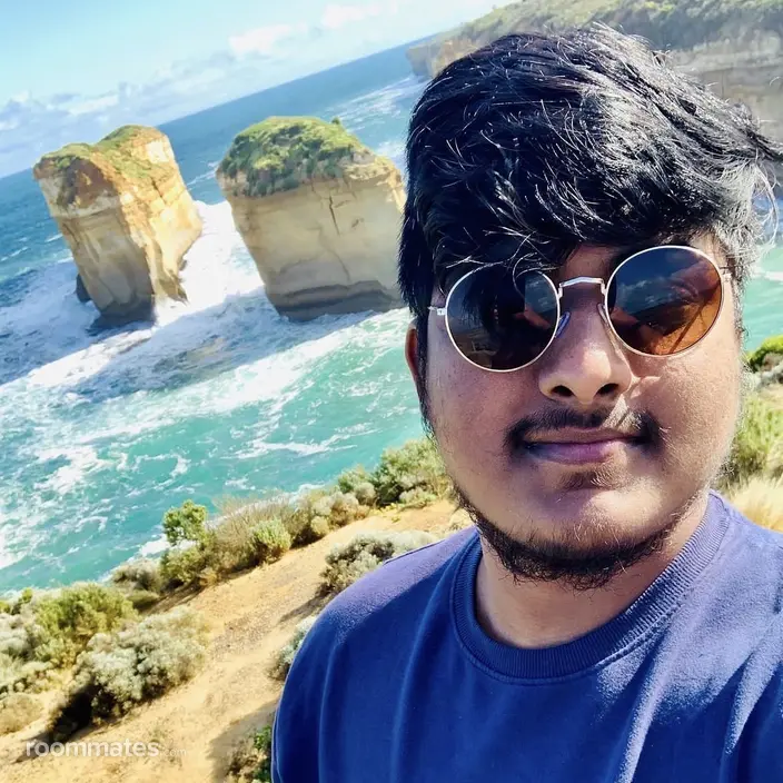 Roommate looking Newton Center, MA, $1200