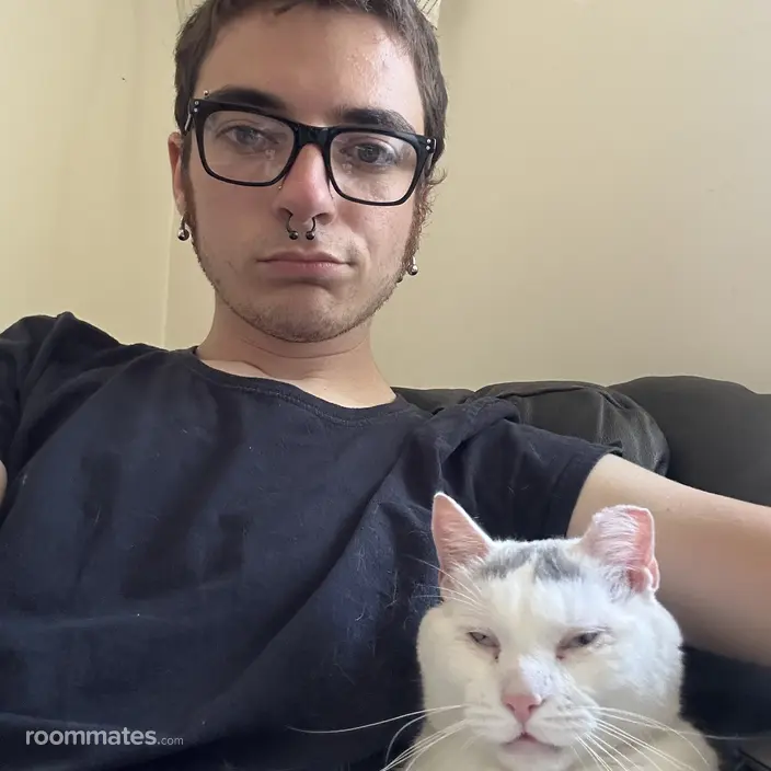 Roommate looking Troy, NY, $1000