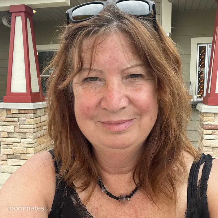 Roommate looking Grand Ledge, MI, $600