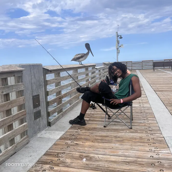 Roommate looking Fort Lauderdale, FL, $2000