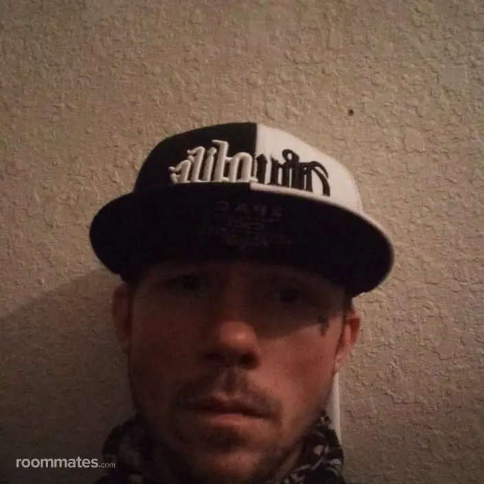 Roommate looking Fort Collins, CO, $800