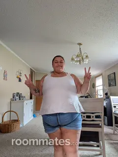 Roommate looking Grand Blanc, MI, $800