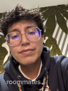 Roommate looking San Diego, CA, $1000