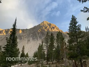 Roommate looking Salt Lake City, UT, $800