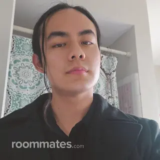 Roommate looking Novi, MI, $800