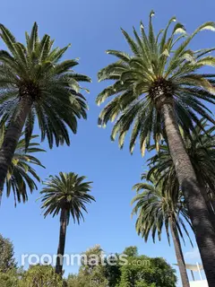 Roommate looking Irvine, CA, $1900