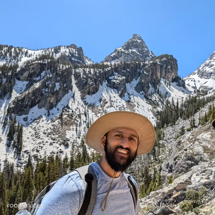 Roommate looking Woodridge, IL, $1000