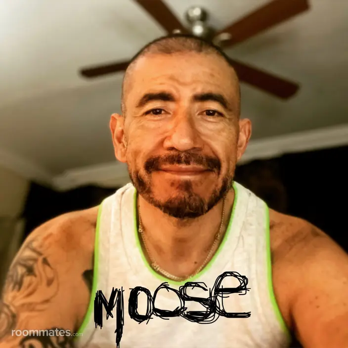 Roommate looking Houston, TX, $700