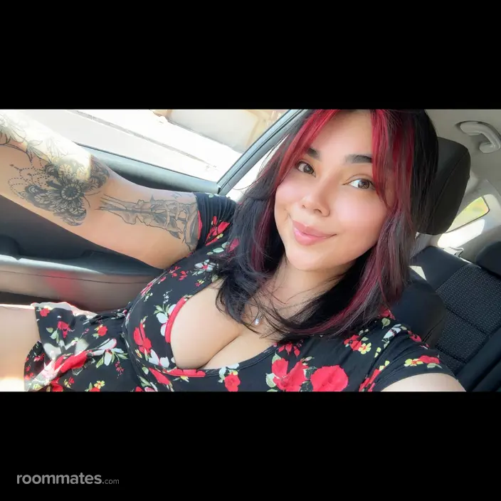 Roommate looking Las Vegas, NV, $600