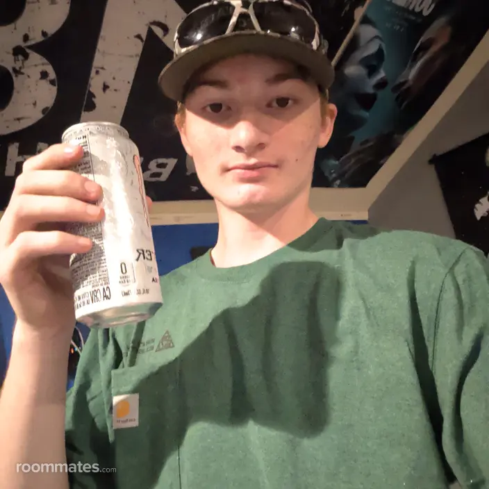 Roommate looking Loganville, GA, $1000