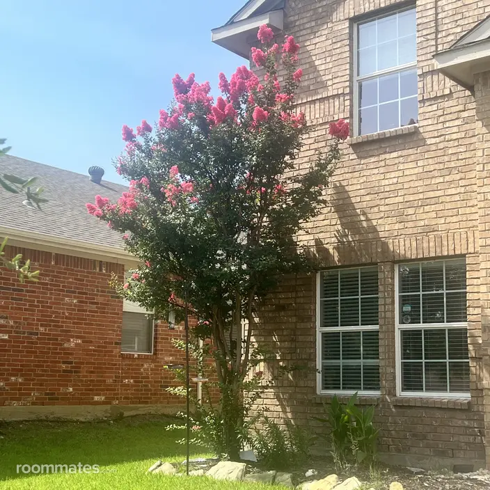 Room for rent in Little Elm, TX $1000, house