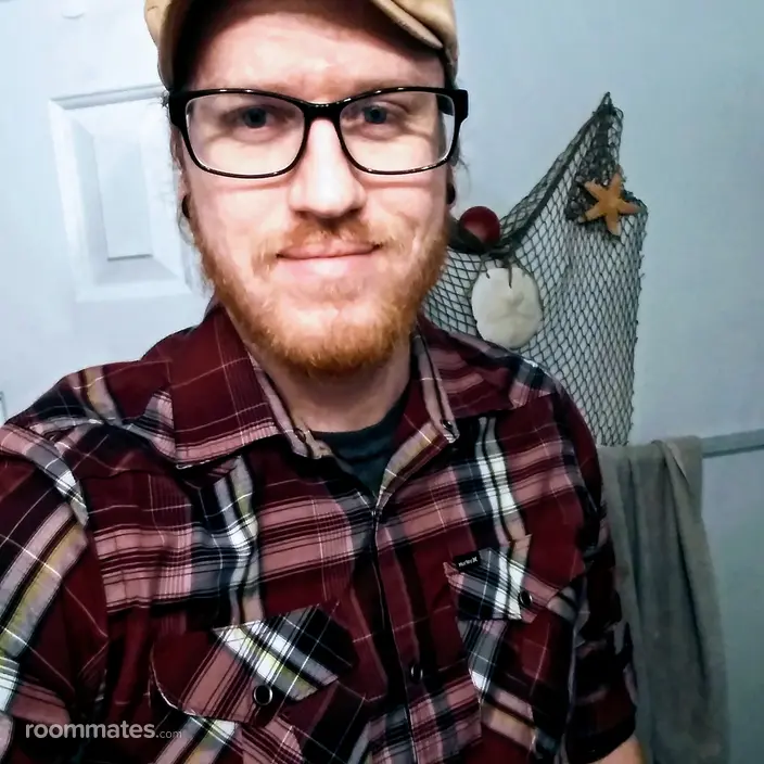 Roommate looking Belleview, FL, $800