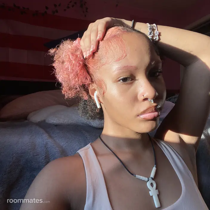 Roommate looking Detroit, MI, $1600