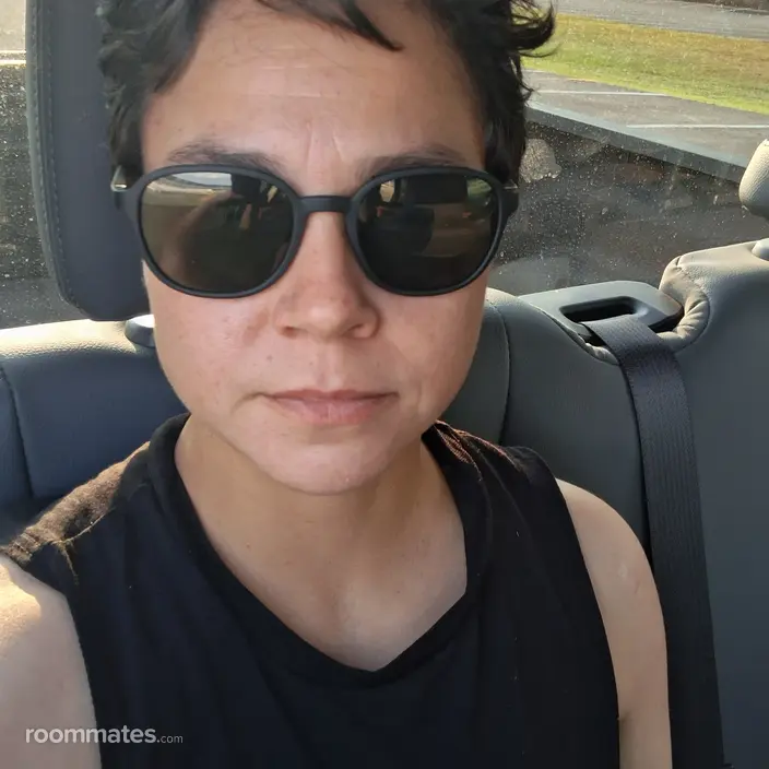 Roommate looking Conway, AR, $500