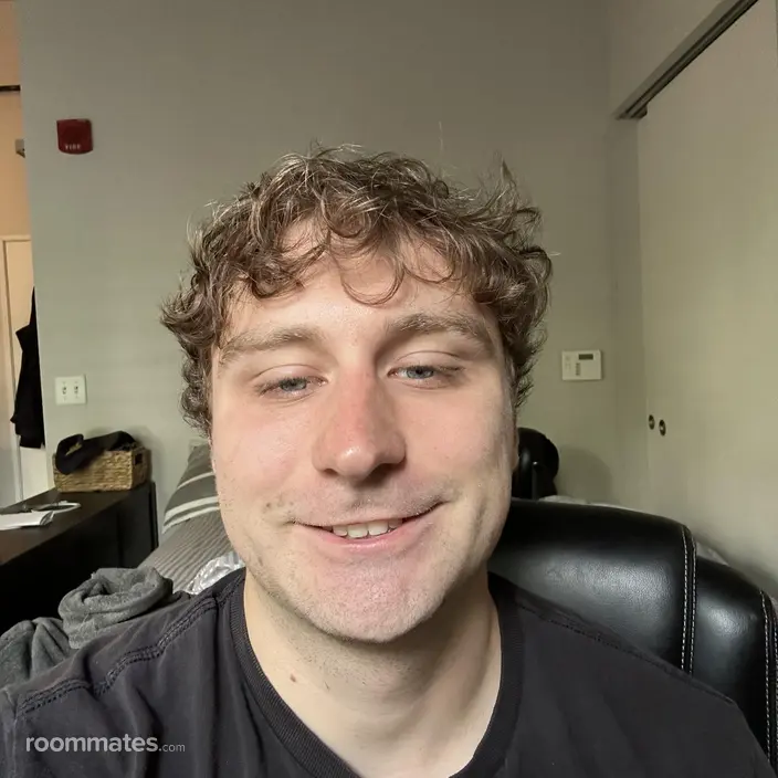 Roommate looking Pittsburgh, PA, $1000