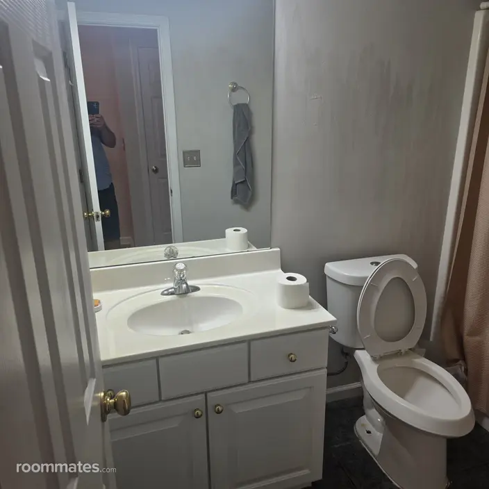 Room for rent in Flowery Branch, GA $1200, house