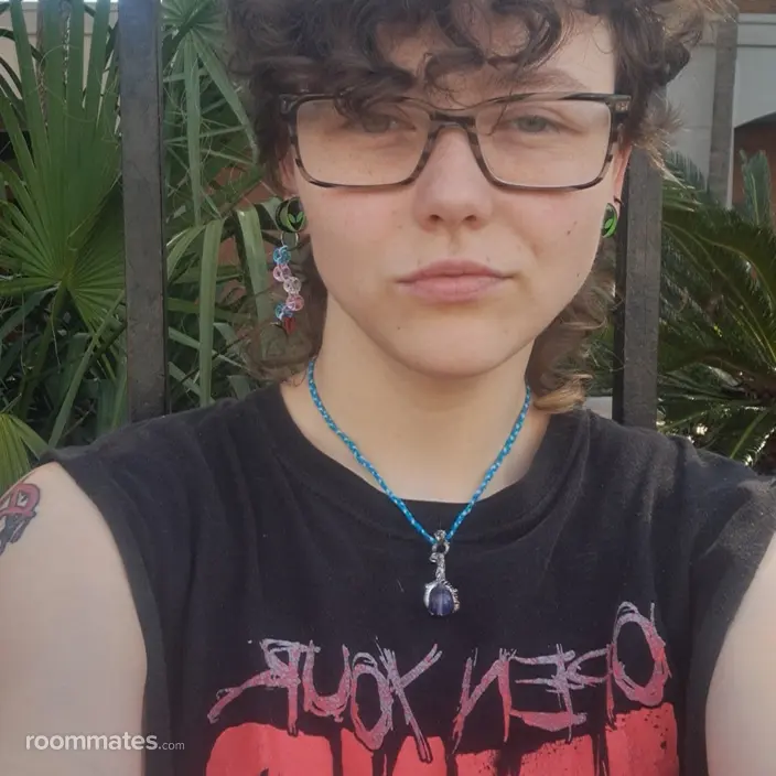 Roommate looking New Orleans, LA, $2000