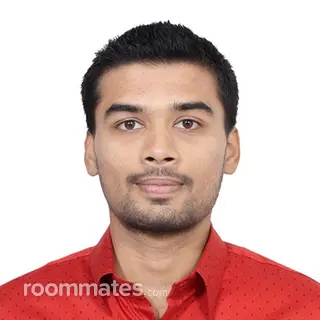 Roommate looking Ferndale, MI, $800