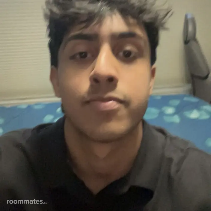Roommate looking San Jose, CA, $2000